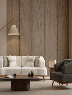 asimo-koltuk-doseme 11